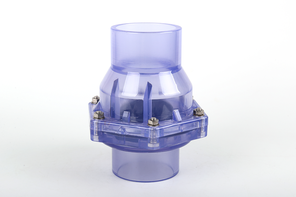 渔薪镇透明翻板式止回阀